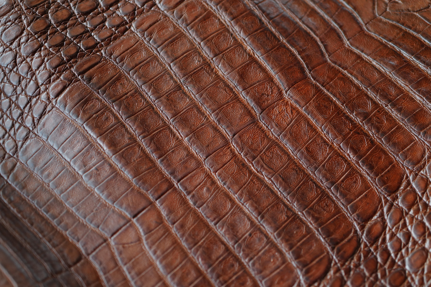 Classic brown custom Crocodile watch strap