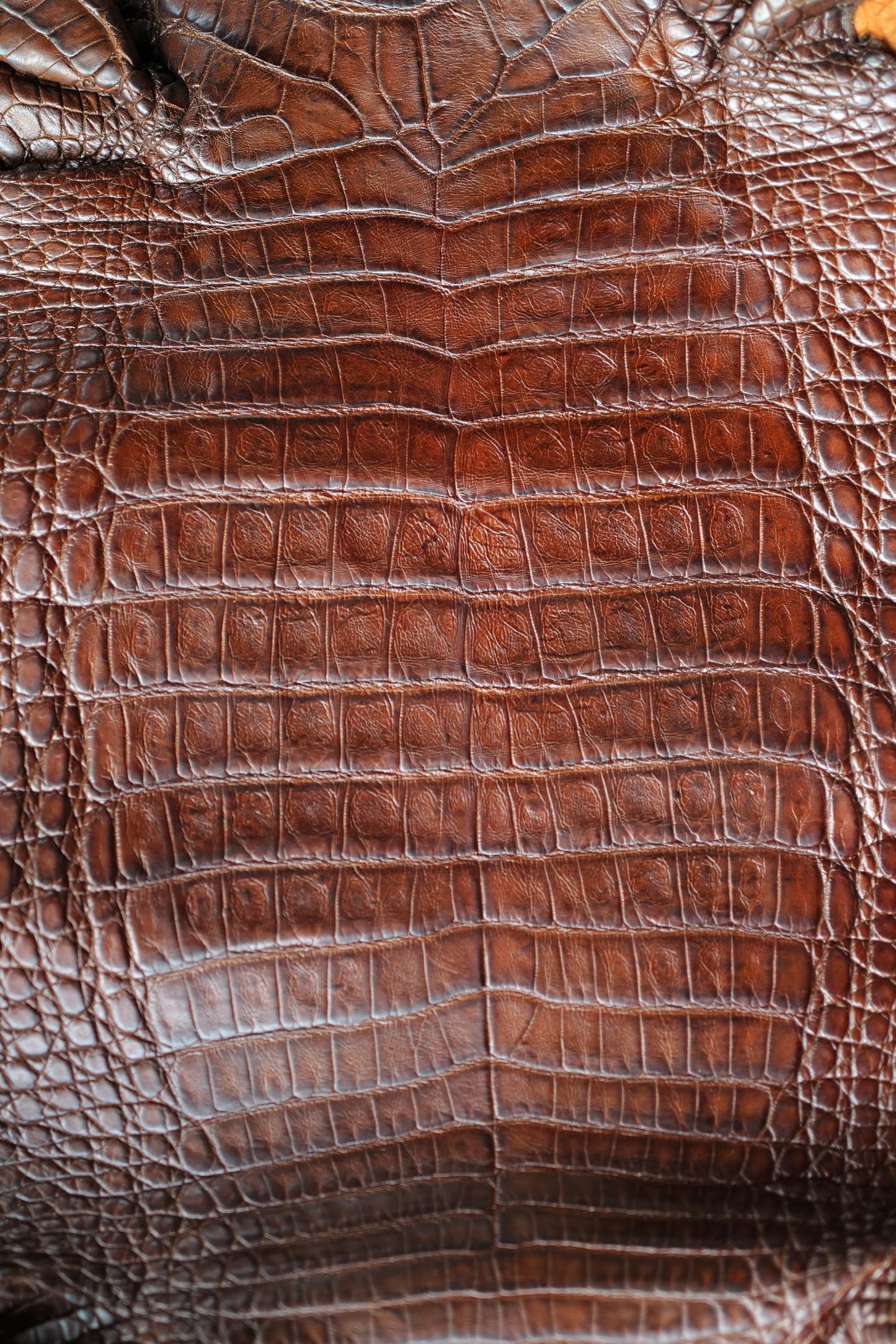 Classic brown custom Crocodile watch strap