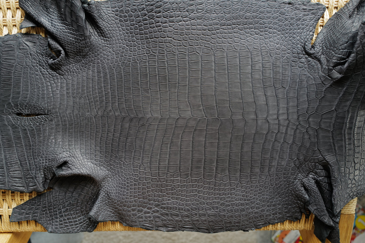 Graphite Grey Crocodile strap